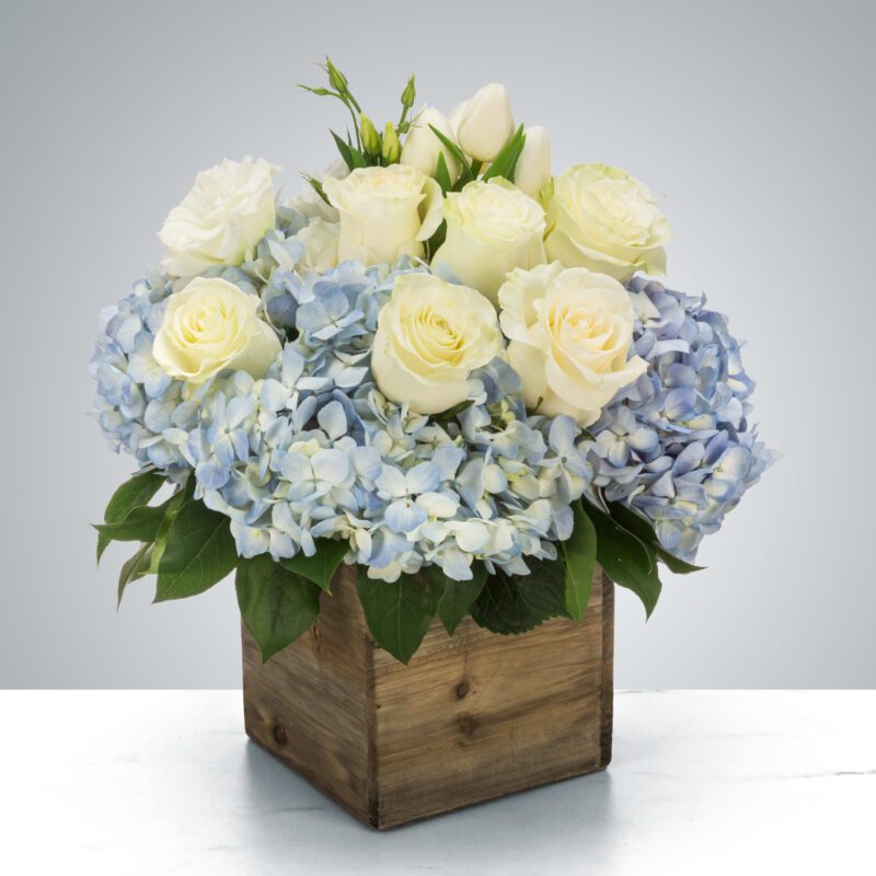 Elegant floral arrangement with white roses and blue hydrangeas in a wooden box.