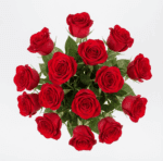 Twelve Red Roses Arrangement