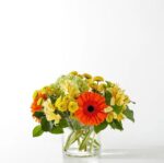 A vibrant autumn floral arrangement in a low glass cylinder vase featuring bright orange gerbera daisies, yellow alstroemeria, yellow button poms, and green hydrangea against a white background.