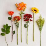 A top-down studio shot of various individual autumn-themed flowers and greenery stems arranged vertically side-by-side against a plain light gray background.