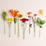 A flat lay arrangement of various autumn-themed flowers and foliage individually lined up against a plain light cream background. The selection includes goldenrod, yellow chrysanthemums, orange lilies, a sunflower, dark red mums, a single orange rose, orange carnations, a decorative oak leaf, and green ruscus leaves.