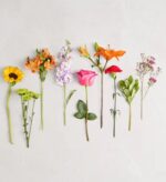 A flat-lay arrangement of ten different individual flower stems and greenery, including a sunflower, lilies, a rose, and carnations, laid out horizontally against a neutral light grey background.