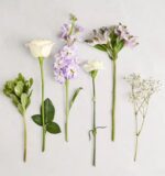 Six individual floral stems and greenery, including a white rose, purple stock, alstroemeria, a white carnation, baby's breath, and green foliage, arranged vertically against a light gray marble background.