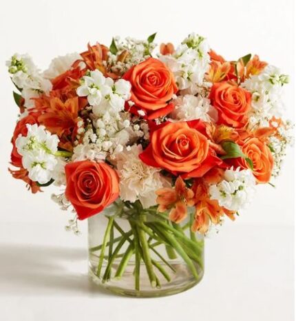 A vibrant floral arrangement in a clear glass cylinder vase, featuring bright orange roses, white stock flowers, orange alstroemeria, and delicate baby's breath against a white background.