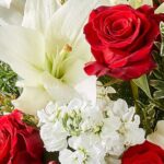 Close-up of a festive floral arrangement featuring vibrant red roses, a large white lily, and clusters of white stock flowers accented with evergreen foliage.
