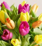 A vibrant bouquet of assorted tulips in shades of bright yellow, deep magenta, and soft orange, surrounded by lush green leaves.
