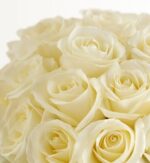 A close-up, high-angle shot of a dense bouquet of elegant, creamy white roses with soft, velvety petals arranged in a tight, spherical cluster against a plain white background.