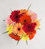 A top-down view of a vibrant bouquet of multicolored Gerbera daisies featuring shades of bright red, deep orange, sunny yellow, and soft pink, arranged in a circular cluster against a light grey marble background.