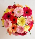 A top-down view of a vibrant and dense bouquet of multi-colored Gerbera daisies, featuring shades of pink, red, yellow, and orange arranged in a circular cluster against a neutral light-colored background.