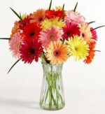 A vibrant and dense bouquet of multi-colored Gerbera daisies, featuring shades of pink, orange, red, and yellow, arranged in a clear ribbed glass vase against a plain white background.