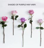 Five long-stemmed roses in various shades of purple, ranging from deep violet to pale lilac, arranged vertically against a clean white background with a text overlay stating "SHADES OF PURPLE MAY VARY."