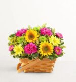 A vibrant floral arrangement featuring yellow sunflowers, bright pink carnations, and green button chrysanthemums nestled in a classic light-brown woven wooden basket with a handle.