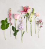 Seven different varieties of pink, purple, and white flowers with green stems arranged vertically side-by-side on a light gray background.