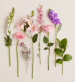 A top-down arrangement of various individual flower stems, including white snapdragons, pink lilies, a pink gerbera daisy, a light pink rose, and purple stock, neatly laid out on a neutral light beige background.