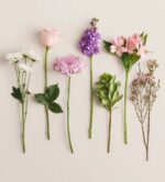 A top-down studio shot of seven individual floral stems and greenery arranged vertically side-by-side against a neutral cream background, featuring white daisies, a pink rose, a lavender chrysanthemum, purple stock, green foliage, pink alstroemeria, and waxflowers.