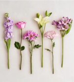 Six different types of purple, pink, and white flowers arranged in a horizontal row on a light gray background.