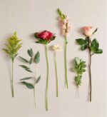 A minimalist flat lay of seven individual botanical stems, including flowers like a peach rose and pink snapdragon, and greenery like eucalyptus, arranged vertically against a neutral beige background.