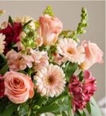 A close-up shot of a lush floral bouquet featuring soft peach roses, light pink gerbera daisies, and deep magenta alstroemeria accented with green buds and foliage.