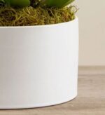 Close-up of a white ceramic planter with green moss and orchid leaves, sitting on a light wood surface