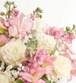 Close-up of an elegant bouquet with ivory white roses, soft pink alstroemeria, blush pink stock flowers, and delicate baby’s breath, arranged against a clean white background.