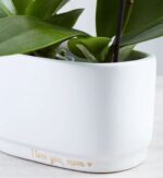 Close-up of a white ceramic planter holding a green orchid plant, with gold lettering on the pot that reads "I love you, mom" followed by a small heart.
