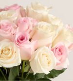A close-up shot of a lush bouquet featuring a mix of soft pink and creamy white roses with fresh green leaves.