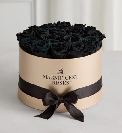 Luxury round gold gift box filled with preserved black roses, wrapped with a black satin ribbon and bow. The box features "Magnificent Roses" branding on the front.