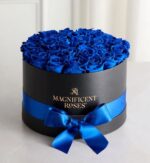 Luxury bouquet of vibrant blue velvet roses arranged in a round black gift box with gold "Magnificent Roses" logo and royal blue satin ribbon bow.