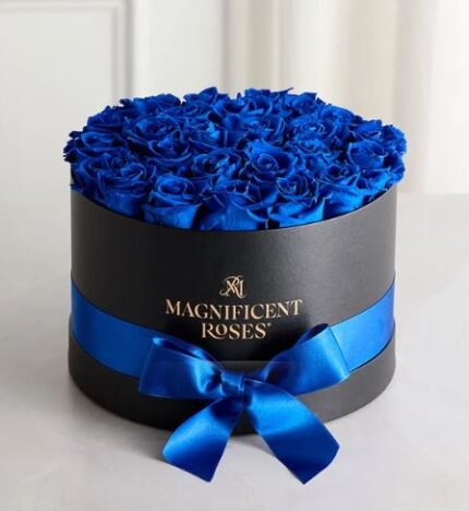 Luxury bouquet of vibrant blue velvet roses arranged in a round black gift box with gold "Magnificent Roses" logo and royal blue satin ribbon bow.