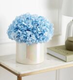 Large blue hydrangea bloom in an iridescent white ceramic vase, styled on a marble console table next to a sage green book and decor