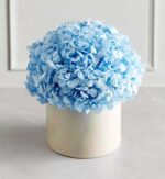 Round bouquet of light blue hydrangea flowers arranged in a glossy pearl-white cylindrical box on a light gray surface, with white wall paneling in the background.