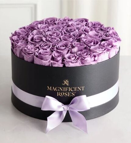 Round black gift box filled with dozens of fresh lavender roses, wrapped with a pale lilac satin ribbon and bow. Gold “MAGNIFICENT ROSES” logo printed on the front of the box.