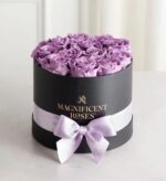 Purpose: Describes the image for screen readers and SEO. Be factual and concise.