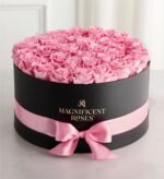 Round black hat box with gold "Magnificent Roses" logo, filled with dozens of fresh light pink roses, wrapped with a pale pink satin ribbon and bow.