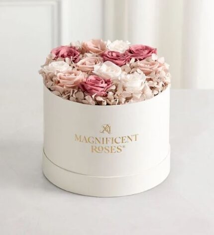 Round white gift box with gold “Magnificent Roses” logo, filled with preserved roses in blush pink, dusty rose, and ivory, accented with pale hydrangeas.