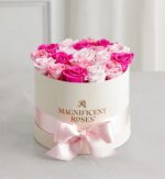 Round cream hat box filled with preserved roses in shades of light pink, hot pink, and blush, tied with a pale pink satin ribbon. Gold “Magnificent Roses” logo printed on the front of the box.
