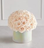 Luxurious dome arrangement of blush pink preserved roses in a round iridescent pearl-finish box, displayed on a light marble surface with white paneled wall background.