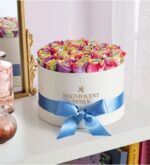 Round white hatbox filled with pastel rainbow roses in shades of pink, yellow, purple, green, and blue, tied with a blue satin ribbon. Gold “Magnificent Roses” logo on the box. Displayed on a white shelf beside a mirror and books.