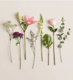A top-down view of various individual flower stems and greenery arranged neatly in a row against a light cream background, including a pink lily, a pink rose, white snapdragons, and eucalyptus.