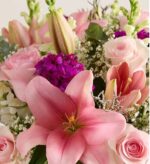 A close-up view of a vibrant floral arrangement featuring soft pink lilies, pink roses, purple carnations, and delicate white baby's breath.