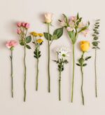 A collection of eight individual flower stems and greenery arranged neatly in a row against a neutral cream background.
