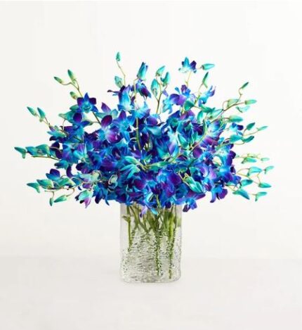 Lush bouquet of vibrant blue and purple dendrobium orchids with green stems, arranged in a clear textured glass cylinder vase on a white background.