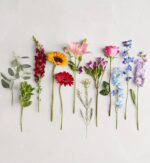 A diverse collection of individual floral stems and greenery arranged vertically in a row against a light grey background, featuring a sunflower, lilies, roses, and various wildflowers in a spectrum of colors.