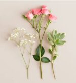 Flat lay of three floral stems on a cream background: a cluster of pink spray roses, a sprig of white baby's breath, and a variegated green leaf stem.