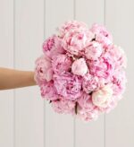 A hand holding a lush round bouquet of light pink and blush peonies against a white paneled background