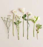 Seven single flower stems laid horizontally on a light beige background. From left to right: delicate white baby’s breath, white gerbera daisy, white spray chrysanthemum, single white rose with leaves, white carnation, white alstroemeria, and a sprig of variegated greenery.