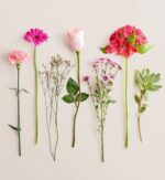 Seven flower stems arranged in a row on a light beige background, from left to right: pink carnation, hot pink gerbera daisy, dried baby's breath, light pink rose with two green leaves, small purple chrysanthemums, red alstroemeria, and a sprig of variegated green foliage.