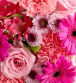 Close-up of a vibrant pink floral bouquet featuring soft pink roses, ruffled pink carnations, hot pink gerbera daisies, pink alstroemeria, and small lavender chrysanthemums with dark centers.