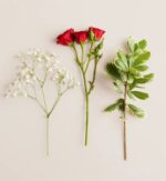Three flower stems laid flat on a light beige background: a spray of delicate white baby's breath on the left, a stem with three red rose buds in the center, and a leafy green variegated pittosporum branch on the right.