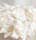 Close-up of lush white gardenia blooms with layered petals arranged in a dense bouquet against a soft neutral background